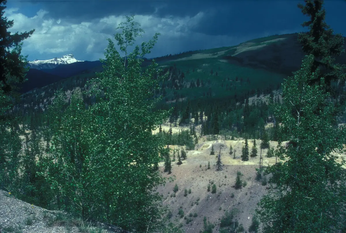 The Slumgullion Earthflow, the landslide that dammed the Lake Fork of the Gunnison River and created Lake San Cristobal.